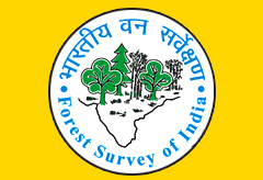 Forest Fire Alerts System