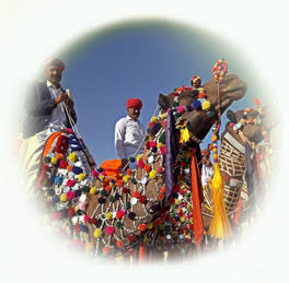 eNewsletter