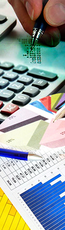 Filing Income Tax Returns