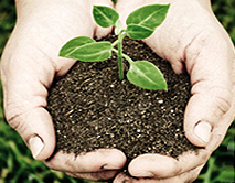 Soil Health Card Scheme