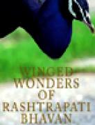 Winged Wonders of Rashtrapati Bhawan