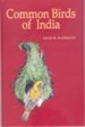 Common Birds of India